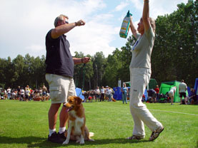 Zorro vinner klassen disk. på Tollarspecialen 2004